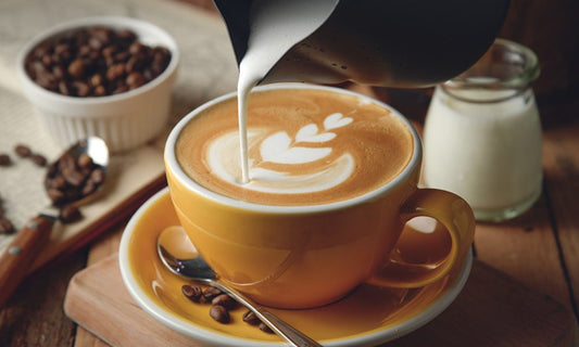 CAPUCCINO X250ML