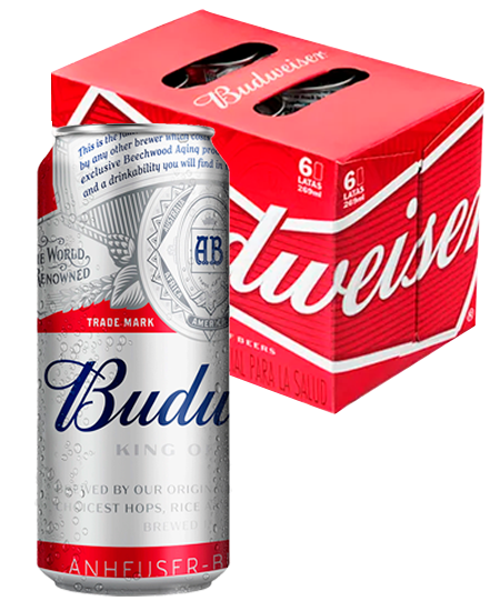 CERVEZA BUDWEISER 6X269